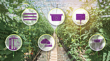 We will improve your problems with Agriculture DX! Platform service for greenhouse horticulture