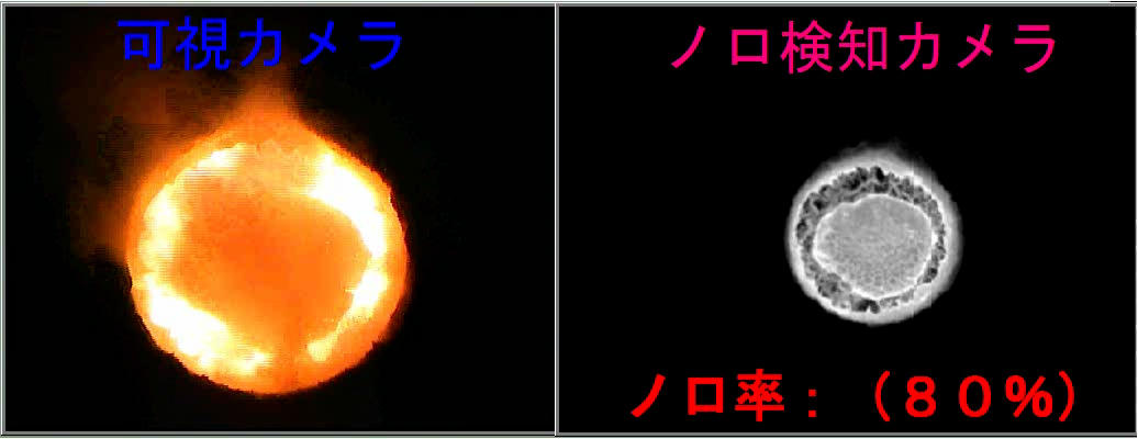 Noro imaging with a visible camera and an infrared camera