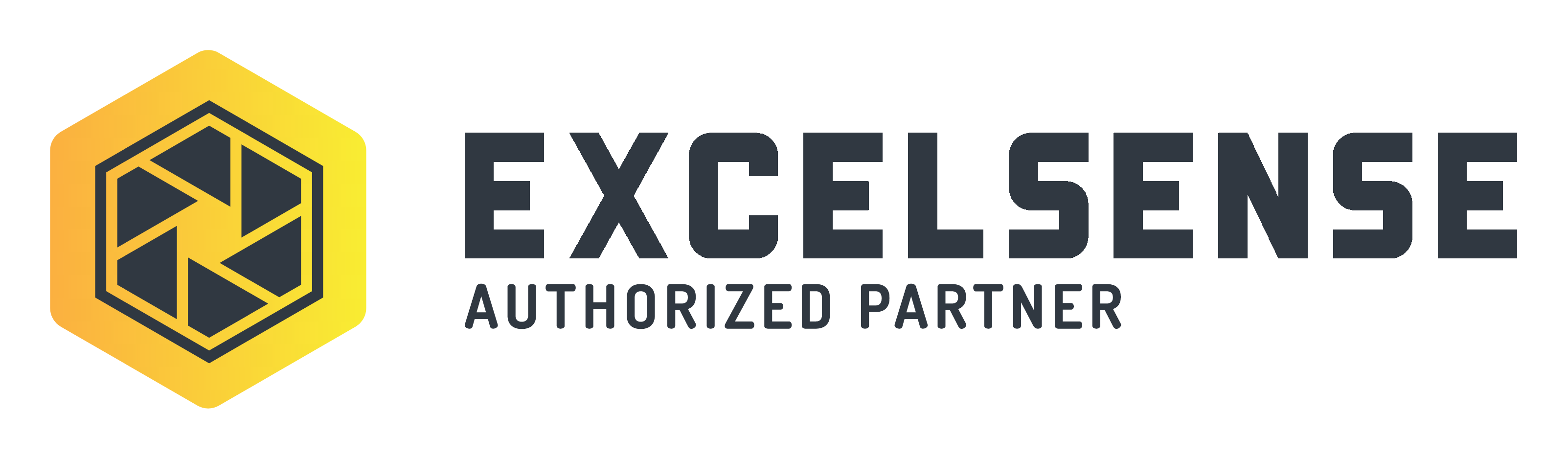 ExcelSense Technologies logo image