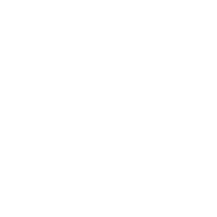 network icon