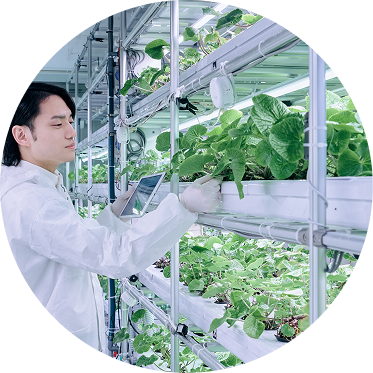 植物工場