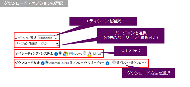 Article header select download option v1700 1