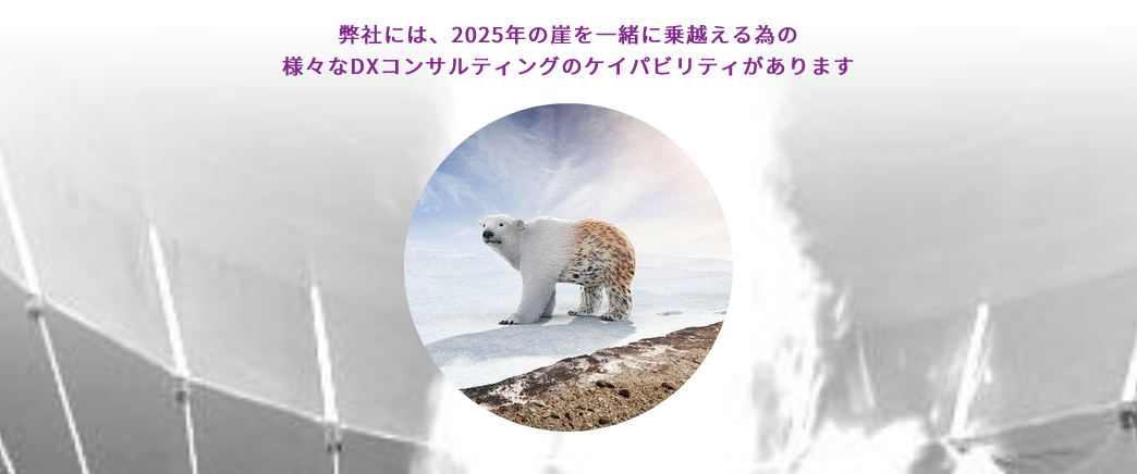 弊社には、2025年の崖を一緒に乗越える為の 様々なDXコンサルティングのケイパビリティがあります