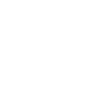 security icon