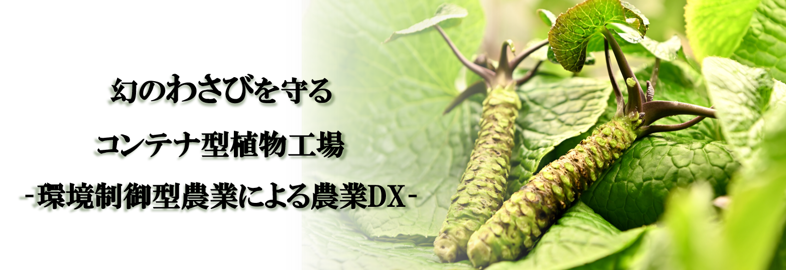 A container-type plant factory that protects the phantom wasabi - Agricultural DX using environmentally controlled agriculture -