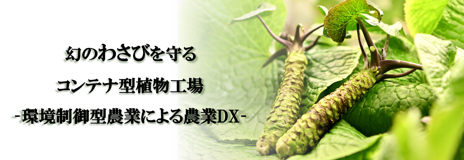 幻のわさびを守るコンテナ型植物工場 - 環境制御型農業による農業DX-