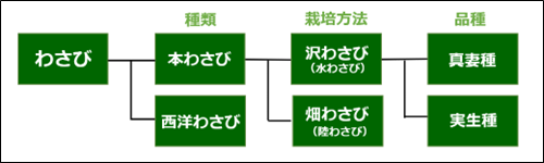 Types of wasabi