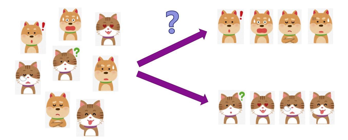 what_is_ai_cat_dog