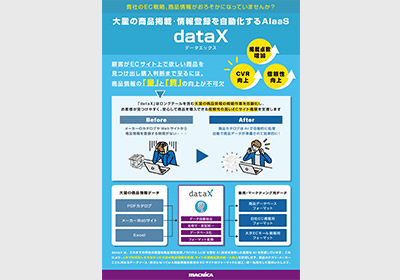 AIaaS dataX automates mass product posting and information registration