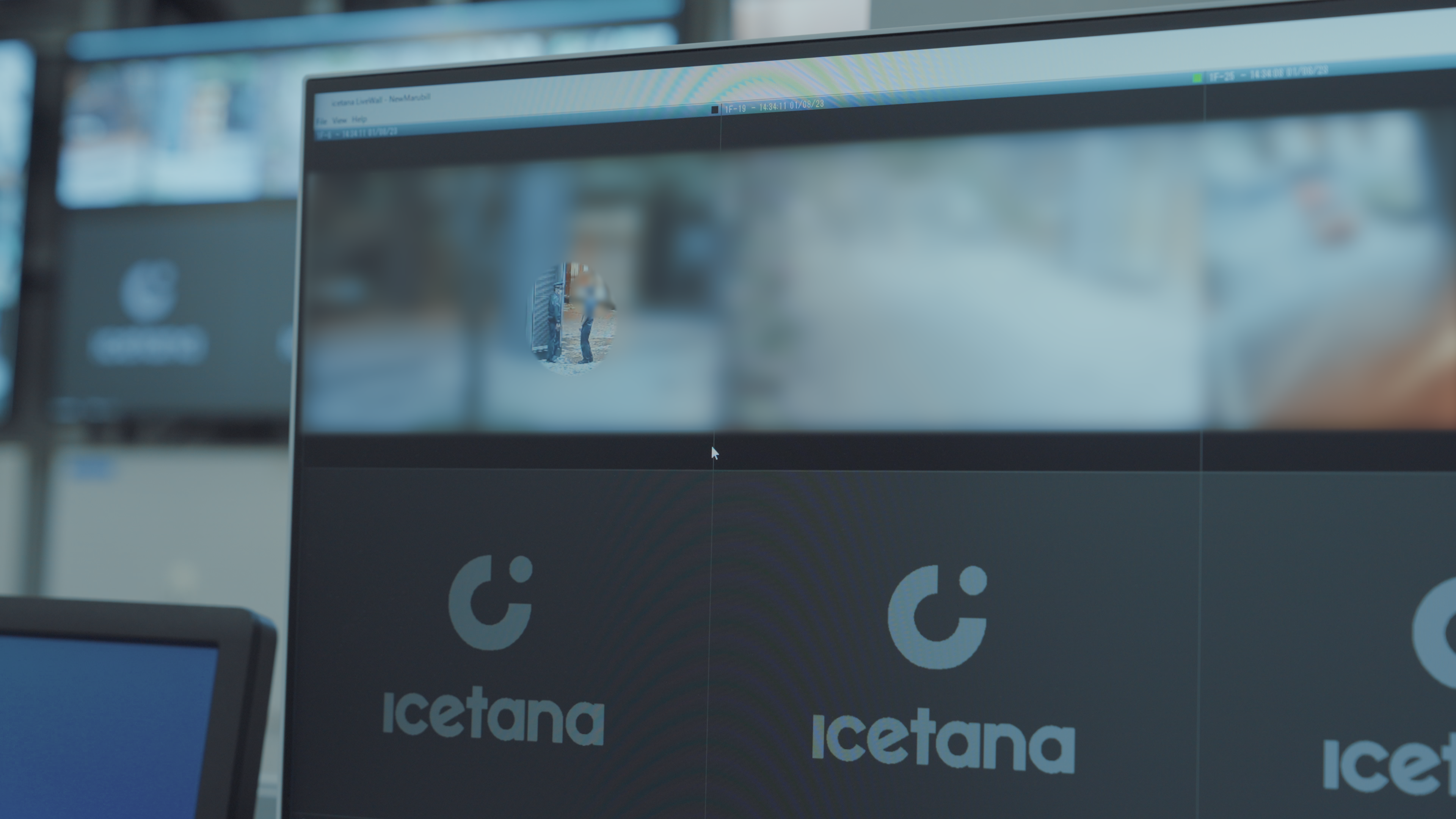 icetana Features