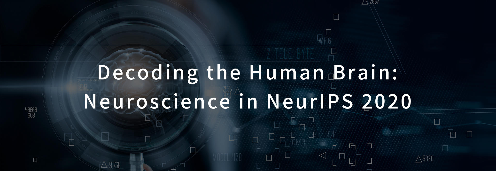 Decoding the Human Brain: Neuroscience in NeurIPS 2020