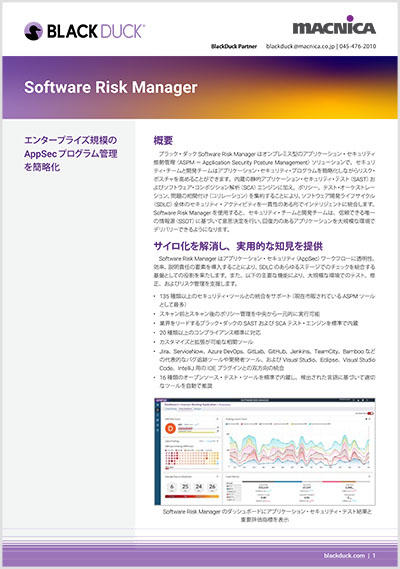 Software Risk Manager