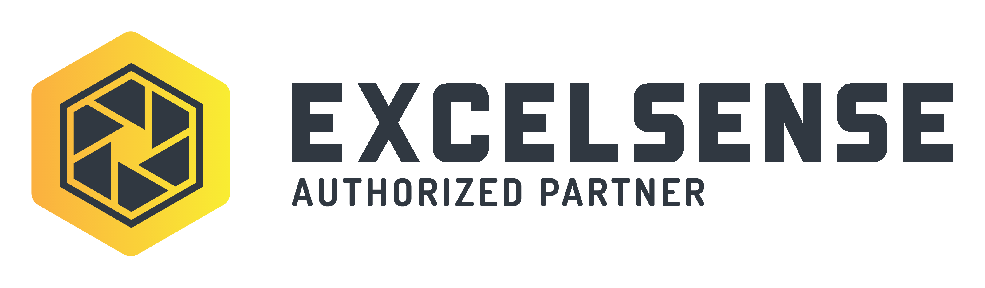 EXCELSENSE logo