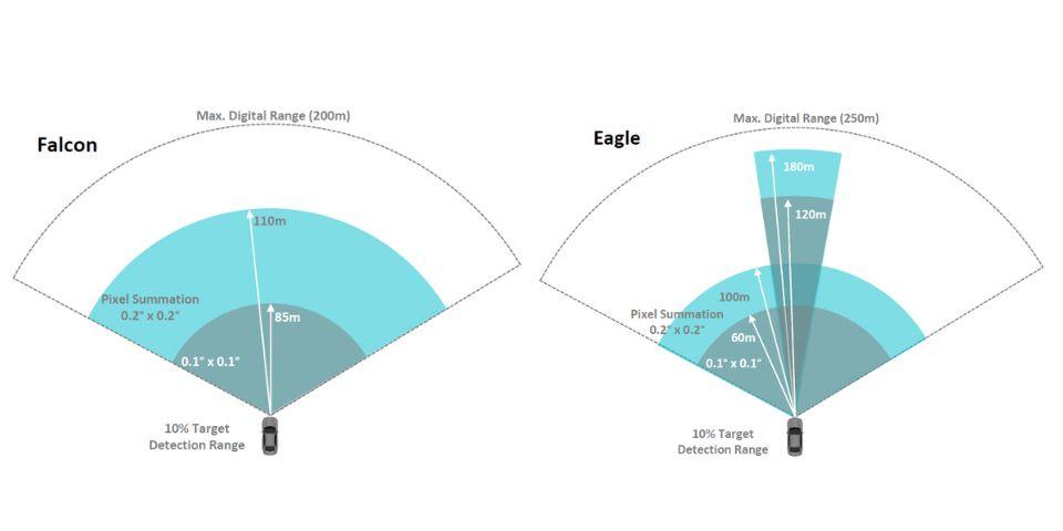 Falcon vs. Eagle