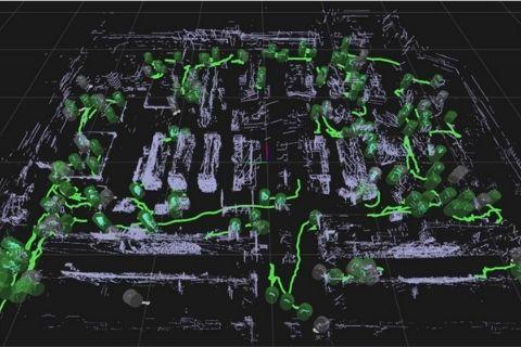 Human flow visualized in green