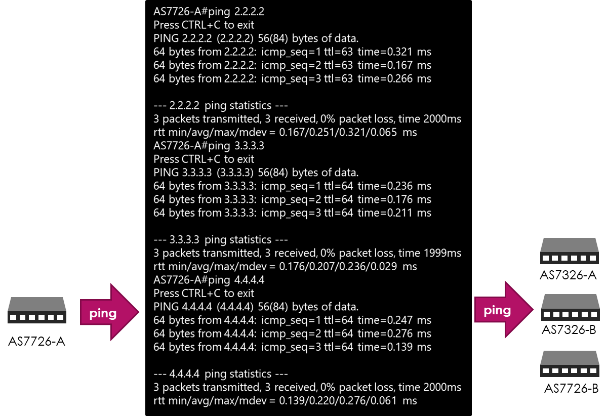 BGP ping execution result