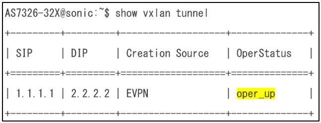 図8：VxLAN コマンド実行結果