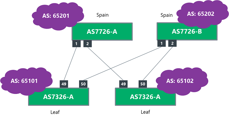 BGP cross network diagram