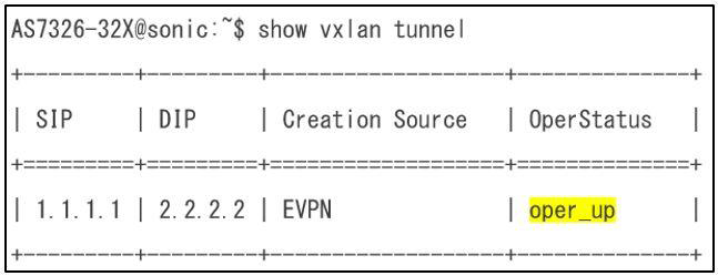 図8:VxLAN コマンド実行結果