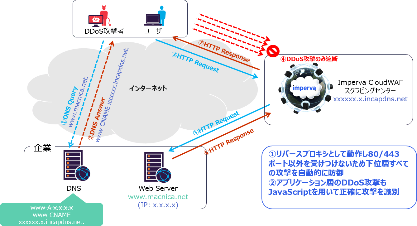 Website DDoS Protection概要:WebサーバへのDDoS対策