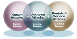 Multiple detection, highly accurate detection method (Automatic signature update is also possible)