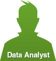 Data Analyst