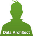 Data Architect