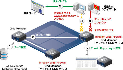 How does APT malware use DNS? g