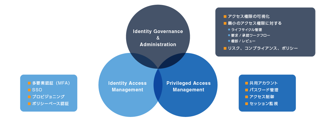 アイデンティティソリューションは大きく3つのソリューション領域に分類され、Saviyntはその中でIGAの領域を支援するソリューションです。