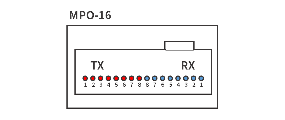 Figure 2. MPO-16 connector diagram
