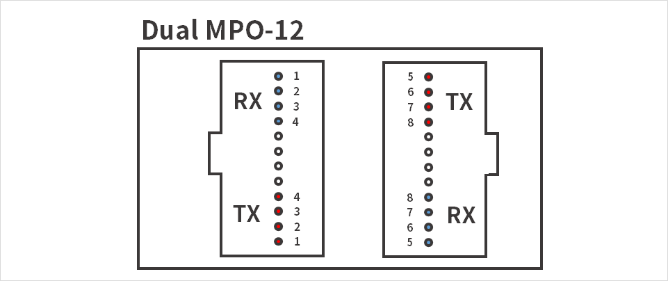 Figure 4. Dual MPO-12 connector diagram