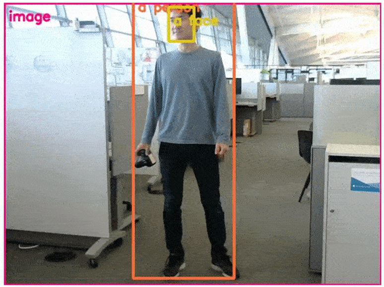 AI Perception Service