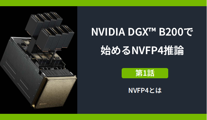 NVIDIA DGX™ B200で始めるNVFP4推論　～第1話:NVFP4とは～の画像