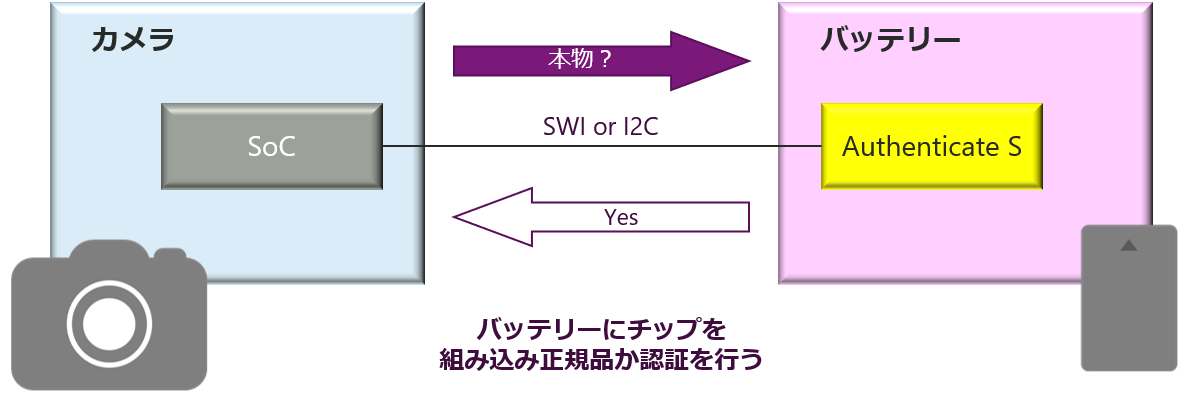 Authenticity determination battery