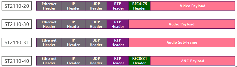 RTP in UDP Payload (UDPペイロード内のRTP)