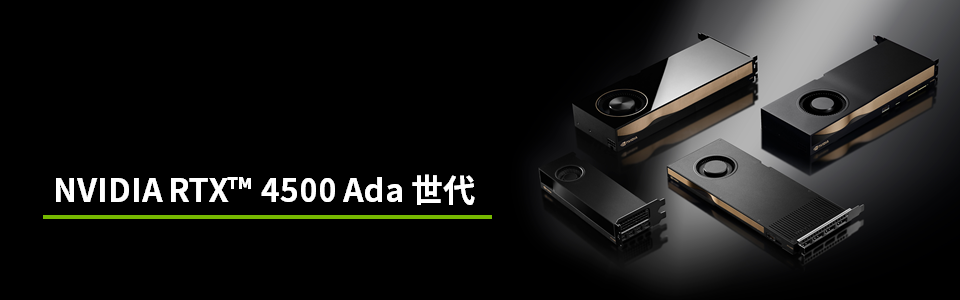 NVIDIA RTX 4500 Ada