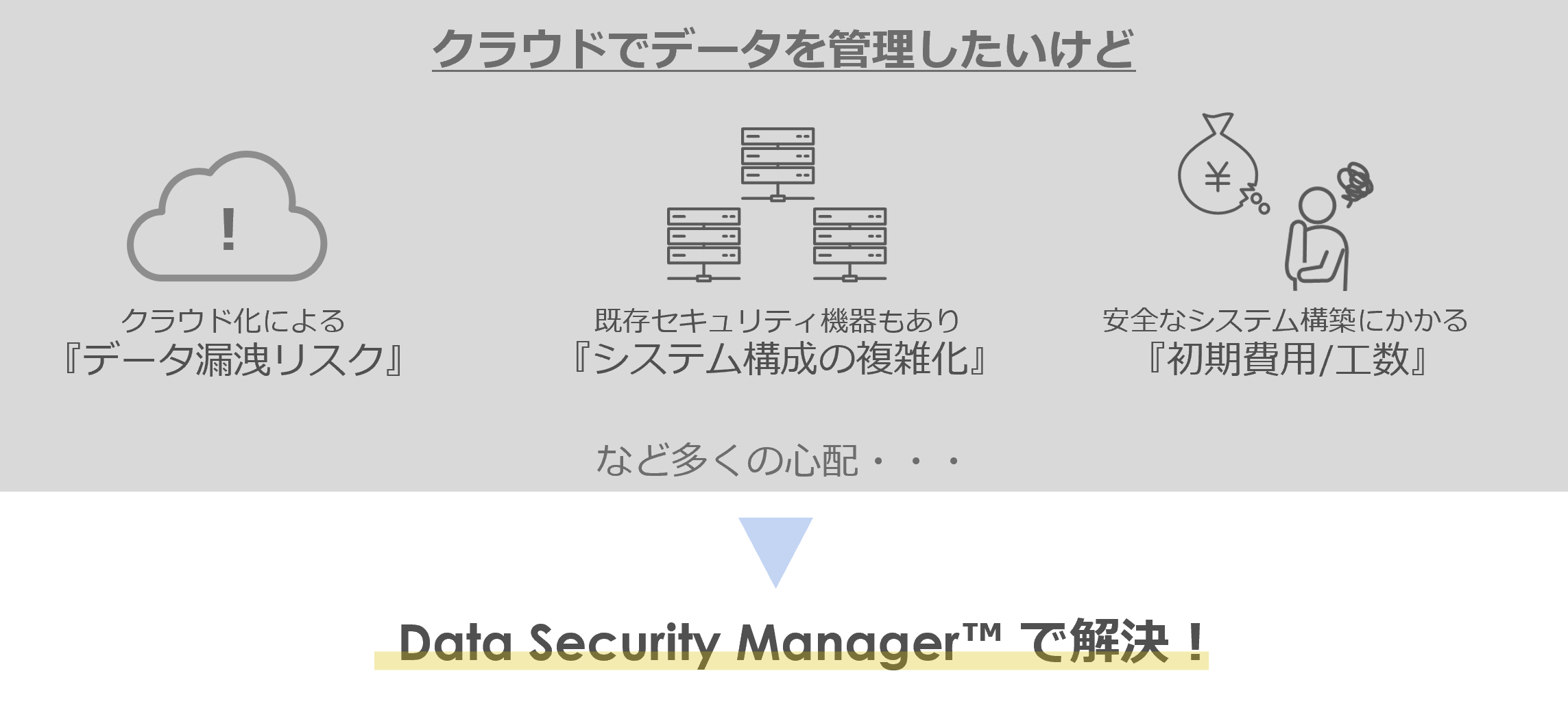 クラウド化による 『データ漏洩リスク』や既存セキュリティ機器もあり 『システム構成の複雑化』や安全なシステム構築にかかる 『初期費用/工数』をData Security Manager™ で解決！